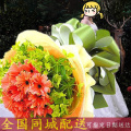 清远阳江昆明鲜花店非洲菊太阳花父亲节鲜花女神节三八妇女节同城送花