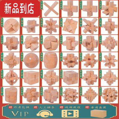 真智力孔明锁鲁班锁全套智力九连环小学生puzzle益智玩具儿童高难度积木