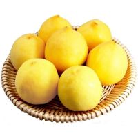 黄金蜜桃含箱5斤 新鲜脆甜孕妇水果水蜜黄毛桃鲜果脆甜