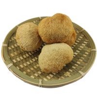 优质精选干货特产菌菇煲汤滋补食材猴头菇250g