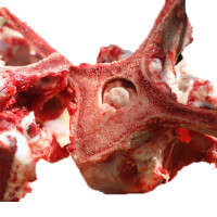 生鲜牛脊骨 牛脊梁骨 牛蝎子 牛大梁骨 2.5kg 顺丰 小崔牛大骨带骨髓黄牛骨