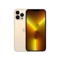 [现已入库发售]2021年新款 苹果Apple iPhone 13 ProMax海外版移动联通电信5G全网通手机 1TB 金色
