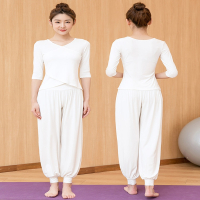 舞韵瑜伽服套装女夏季健身房新款宽松运动专业遮肉高级感白色