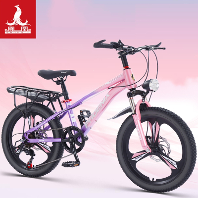 凤凰[PHOENIX]儿童自行车女孩青少年中大童男孩山地变速小学生20寸单车