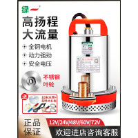 绿一直流潜水泵12V24V48V60V家用电瓶车抽水泵小型电动农用灌溉抽水机