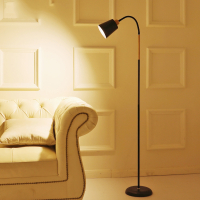 落地灯LED简约现代北欧ins风法耐客厅卧室书房钓鱼立式落地台灯