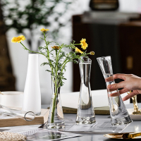 法耐(FANAI)北欧风格ins风小花瓶客厅插花摆件玻璃透明水养鲜花迷你简约花器