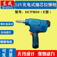 东成(Dongcheng)充电式抽芯拉铆枪DCPM50E型锂电铆钉枪东城12v电动铆接工具
