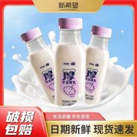 新希望琴牌芋泥厚乳今日鲜奶铺低温生牛乳香芋鲜奶255ml*6瓶早餐奶