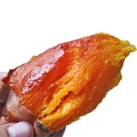[烤红薯]家用韩式烧烤锅烘焙精灵烤红薯锅铸铁烤地瓜烤肉盘烧烤架 第3代24CM搪瓷盖[适合1-2人]