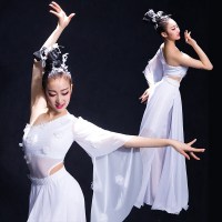 2018新款古典舞演出服女飘逸伞舞伴舞服水袖现代舞蹈服装仙女白色(不带头饰)