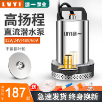 绿一农用48V直流潜水泵12V48V60V高扬程电动车家用抽水泵水泵