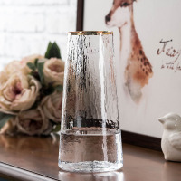 日系锤纹小透明玻璃花瓶纳丽雅简约创意水培插花花器清新客厅干花瓶摆件 新描金(T型10240锤纹)