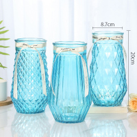 【四件套】北欧创意玻璃花瓶透明水养富贵竹玫瑰花瓶客厅插花摆件 泊森+烟雨+菠萝（天蓝色） 大