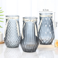 [四件套]北欧创意玻璃花瓶透明水养富贵竹玫瑰花瓶客厅插花摆件 泊森+烟雨+菠萝(烟灰色) 大