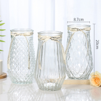 [四件套]北欧创意玻璃花瓶透明水养富贵竹玫瑰花瓶客厅插花摆件 泊森+烟雨+菠萝(透明色) 大