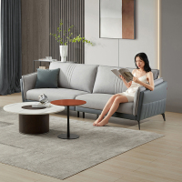 [电商]现代简约中小户型布沙发轻奢高脚科技布沙发2113(30天发货)