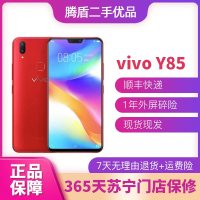 vivo Y85 全网通4G 双卡双待 刘海全面屏美颜拍照 智能二手手机 红色 4G+64G全网通 9成新