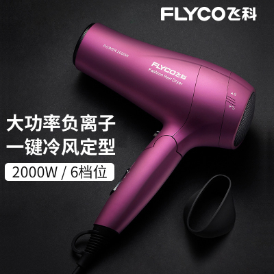 飞科(FLYCO)飞科吹风机2000W大功率电吹风机飞科大风力吹风筒家用 紫色