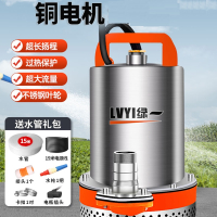 绿一(Lvyi)直流潜水泵12V24V48V60V电瓶车电动车水泵小型灌溉农用抽水机