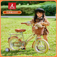 凤凰(PHOENIX)儿童自行车女孩2-3-6-7-8-10岁宝宝脚踏车男孩单车女童公主款12寸