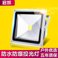 led投光灯防爆灯投射灯户外50W100W防厂房路灯广告灯工厂庭院灯