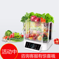 果蔬清洗机净化器 家用水果蔬菜去农残 食材全自动净化洗菜机