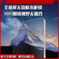 衣柜镜子推拉镜全身镜平开隐藏衣橱伸缩折叠镜试衣柜内置穿衣镜