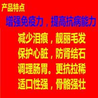 狗粮全犬期通用泰迪金毛萨摩耶哈士奇比熊40成犬幼犬9.5斤邮粮3