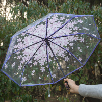 樱花透明雨伞折叠女 小清新长柄雨伞创意户外全自动伞反向折叠伞