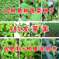 10种蔬菜种子春夏秋四季种菜籽阳台易种青菜种子白菜香菜高芽率