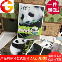 大熊猫明信片四川成都旅游纪念品国宝的世界生日贺卡祝福卡片邮寄
