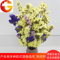 云南昆明勿忘我干花摆件真花礼物鲜花客厅装饰花家庭插花永生花