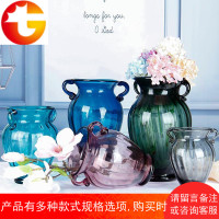 双耳玻璃花瓶彩色透明插花水培富贵竹欧式客厅餐桌摆件饰品