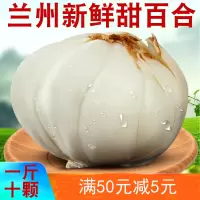 【新货现挖】陇卉甘肃兰州新鲜百合500g<2袋10个果>现挖新货天然新鲜百合蔬菜