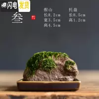 三维工匠苔藓盆栽假山吸水石盆景水培青苔造景办公室桌面净化空气花盆摆件 [叁-假山苔藓盆栽] 小花盆容器