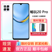 荣耀畅玩20 Pro 全网通版 8GB+128GB 冰岛幻境 双卡 6400万超清四摄 22.5W超级快充 4G智能拍照