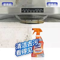 专业洗油烟机清洗剂厨房重油污强力除污垢家用杀菌清洁剂