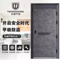 TIEWEI铁威门业-TW-圣保罗 外钢内木 甲级家用大门智能防盗门钢质子母门安全门别墅门