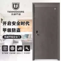 TIEWEI铁威门业-TW-山盟海誓甲级家用大门智能防盗门钢质安全门别墅门