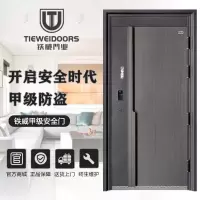 TIEWEI铁威门业-TW-奢雅甲级家用大门智能防盗门钢质安全门别墅门