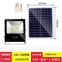 太阳能路灯户外庭院投光灯遥控闪电客家用led灯节能新农村照明路灯 照射面积150平米/智能光控 5米线