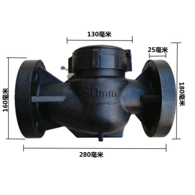 水表闪电客家用工业园出租房用塑料尼龙水表水表耐酸碱 DN50法兰冷水表