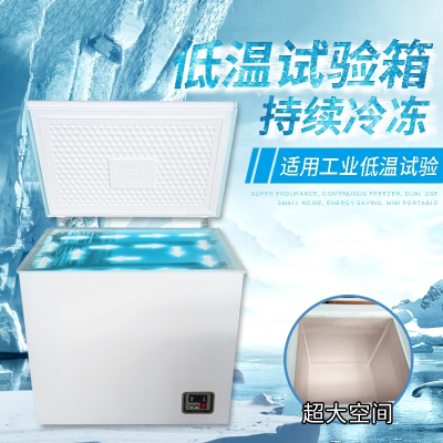 -40度-60度低温试验箱工业冰柜实验室冰箱高精度低温恒温箱冷冻箱