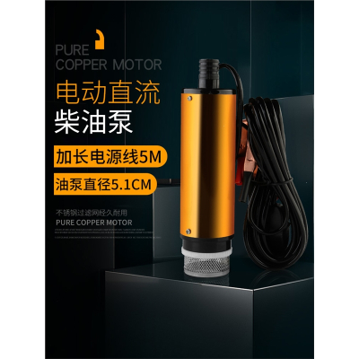 电动抽油泵柴油12v24伏通用抽油CIAA小型车载加油枪自吸油抽子