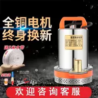 12V24V48V60V72V直流潜水泵抽水泵藤印象家用农用刷车电动车