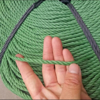 尼龙绳捆绑绳子晾衣绳养殖绳拉树绳户外用绳大棚压膜绳 10毫米50米