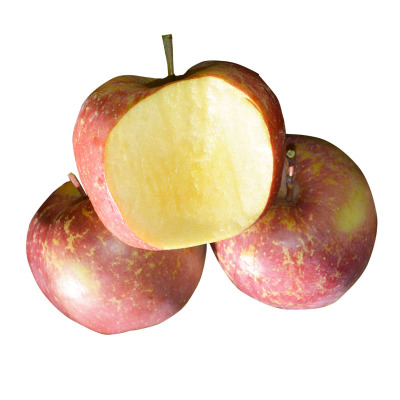 思灏 现摘丑苹果5斤中果野生丑苹果冰糖心甜脆苹果新鲜水果现摘