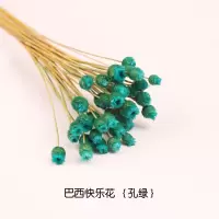 干花花束巴西快乐花风干花朵客厅装饰摆件花瓶天然干花插花真花 绿色快乐花/1束