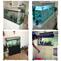 鱼缸水族箱中型玻璃1米2懒人鱼缸客厅小型家用桌面创意生态金鱼缸 60cm香槟缸